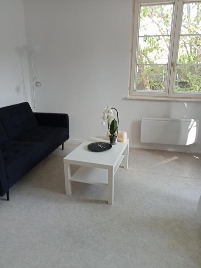 Au Coeur De La Petite France Apartment Strasbourg Exterior photo